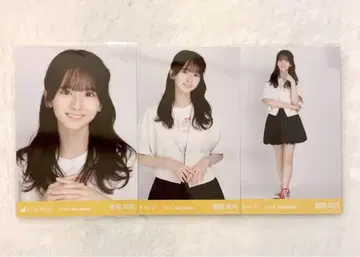 노기자카46 스가와라 사츠키 2025.September 썸머 자켓 컴프