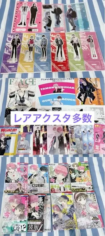 [레어품 다수] 타몬 군 지금 어느 쪽!? 굿즈 묶음 판매