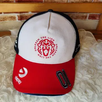 맥스 페르스타펜 언리쉬 더 라이온 USA 캡