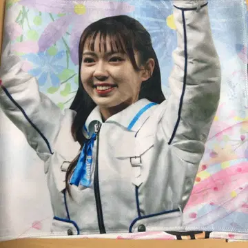 사이타마 세이부 라이온즈 bluelegends 페이스 타월 seina