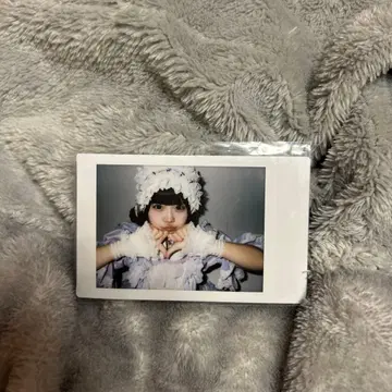 무지개 깃털 미니 수국 의상 란체키