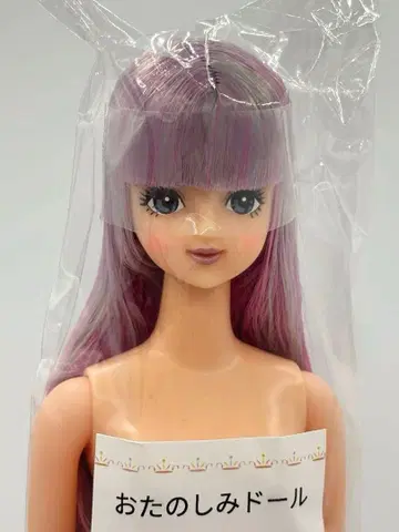 사야카 리카짱 캐슬 오타노시미 인형 퍼플 계열 제니 프렌드