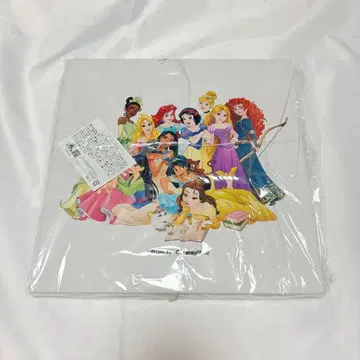 아트 패널 디즈니 프린세스 디즈니 스토어