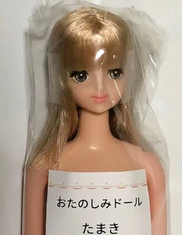 리카짱 캐슬 즐거운 인형 타마키