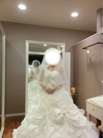 웨딩 드레스 프린세스 와타베 웨딩