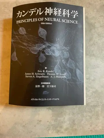 칸델 신경과학