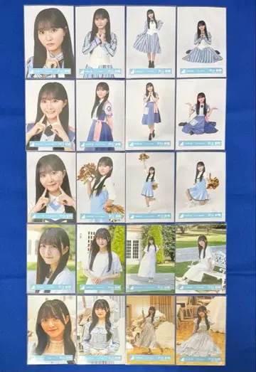 히나타자카46 5기생 신참자 신종 가타야마 사키 20종 컴프