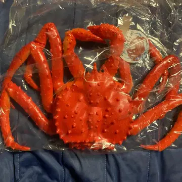 타라바가니 액션 피규어 BIG 빨간색 레드