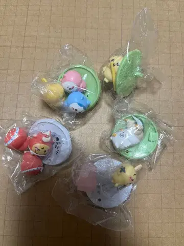 치이카와 초코 서플라이 치이카와 하치와레 토끼 아노코