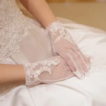 웨딩 드레스 그로브 베일 세트