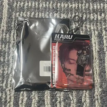 초특급 REAL? 랜덤 블리스터 키링 하루 군