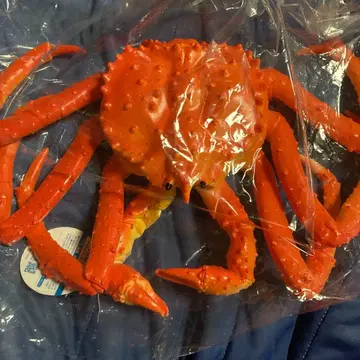 타라바가니 액션 피규어 BIG 주황색 오렌지