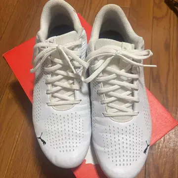 PUMA BMW 드리프트 캣 5 울트라 2 화이트