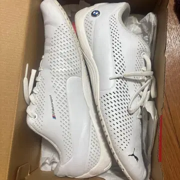 PUMA BMW 드리프트 캣 5 울트라 2 화이트