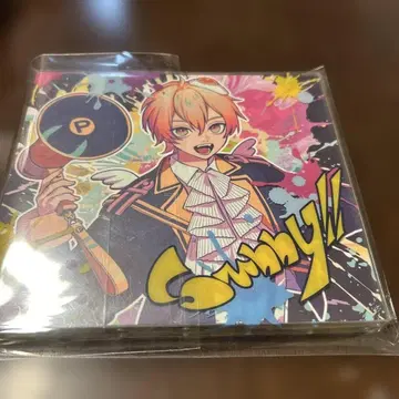 P마루님 Sunny!! 2장입 CD