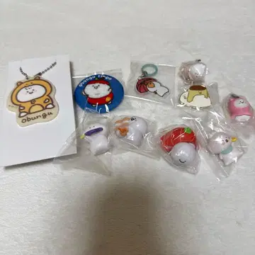 오문구와 함께 오문구 씨 묶음 판매