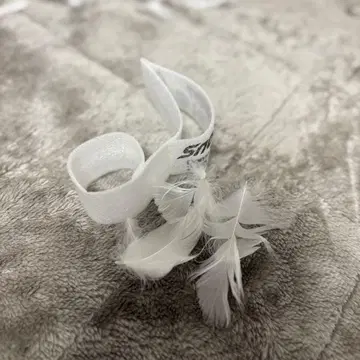 SnowMan ON 낙하물 음표 하얀 깃털