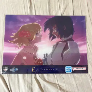 건담 SEED 비주얼 매트 아스란 & 카가리