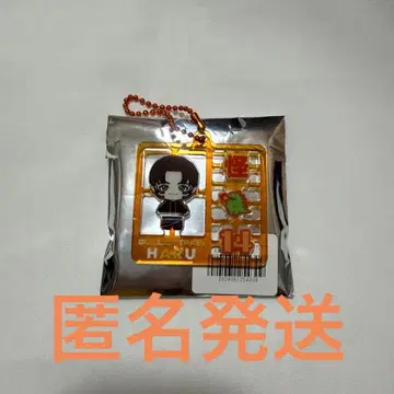 초특급 REAL? 플라스틱 모델풍 키링 하루