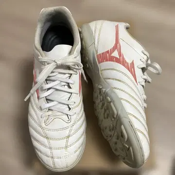 Mizuno 축구화 26.0cm Monarcida neo