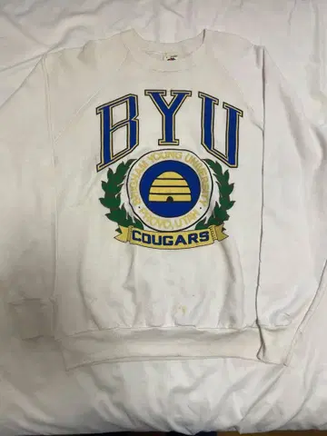 80s~90s 프룻 오브 더 룸 맨투맨