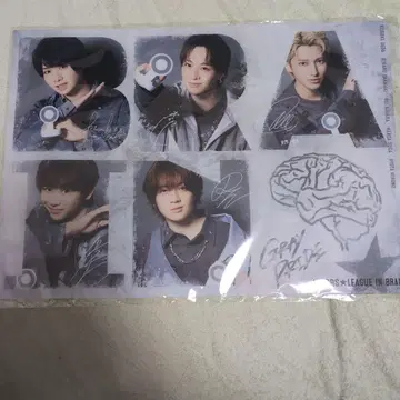 액터즈 리그 레인 AL 복권 GREY PRIDE