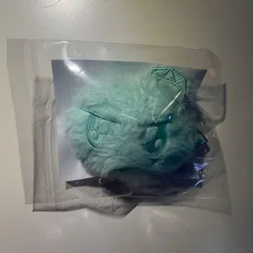 SEVENTEEN NEW 모자 꽁지 키링 오사카