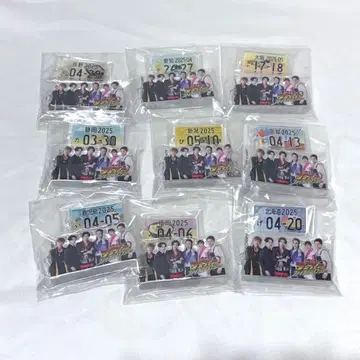 분붐저 FLT 고토치 플레이트 9도시 세트