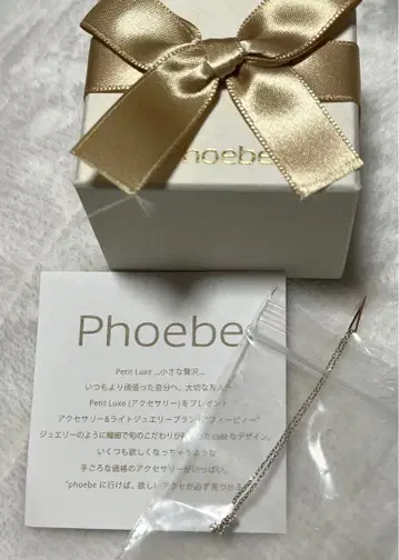 [ K10 ] 스윙 비쥬 아메리칸 귀걸이