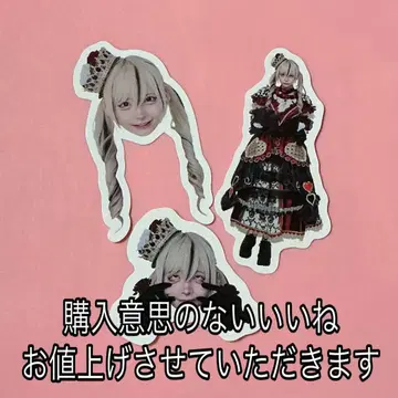 [ 최종 가격 인하 ] RINDO 투어 라부시크 하야테