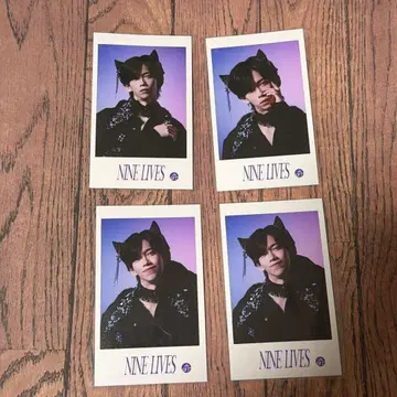 초특급 미니 사진 NINELIVES 료가