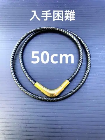 선착순! 레어 한정품 파이텐 목걸이 골드