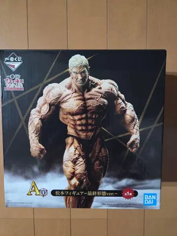 마츠모토 피규어 근육 형태 ver.1 제일복권 A상 (하마다 마코토 덤)