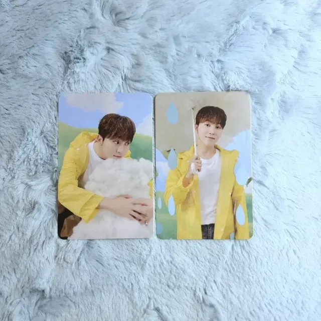 세븐틴 부승관 포카 캐럿반 일괄 나눔 양도 판매