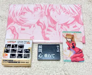 에반게리온 에바 스토어 14주년 기념 페어 세트