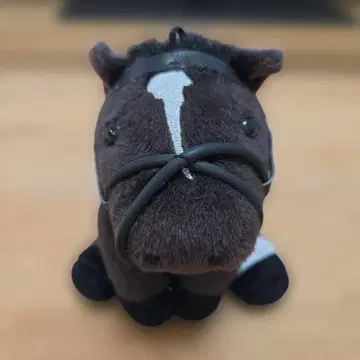 서울 스털링 아이돌 호스 S