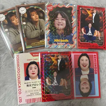 홍생강 콜렉션 카드 세트