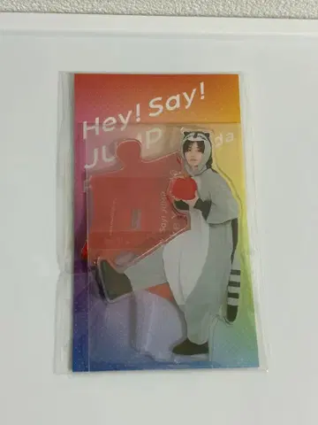 야마다 료스케 아크릴 스탠드 너구리