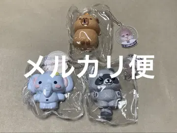 MoMo momo 스퀴즈 동물 시리즈 카피바라 아라이 너구리 코끼리