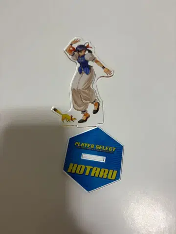 네오지오 배틀 콜로세움 아크릴 스탠드 호타루