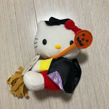 레어 키티 할로윈 빗자루