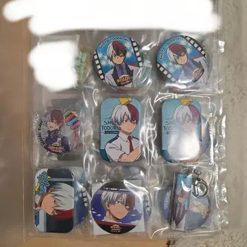 토도로키 쇼토 8세트