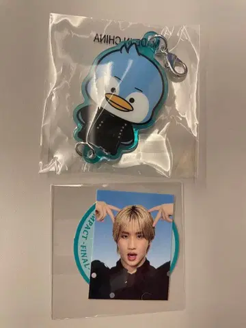 마츠이 리키 증명사진 이어지는 참