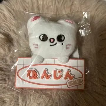 StrayKids SKZ TOY WORLD 네임 백참 진니렛