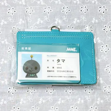 교육 방송 MNS 사원증 카드 세트