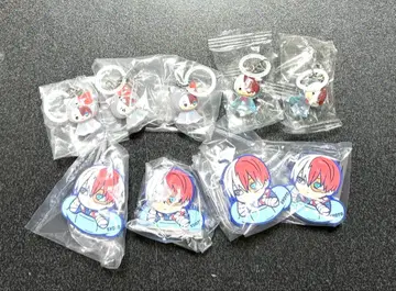 토도로키 쇼토 메지루시 액세서리 헤어 클립