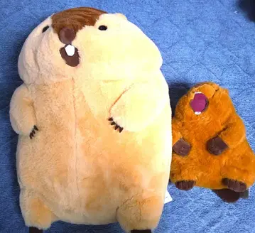 마모트의 모토토모아 울트라 BIG 봉제 인형 음성 봉제 인형 세트