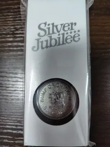 BUMP OF CHICKEN Silver Jubilee 메달 키링