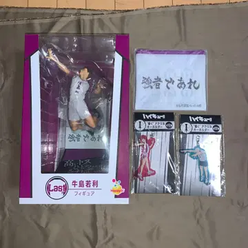 Happy 복권 하이큐!! 라스트 우시지마 와카토시 덤 3개