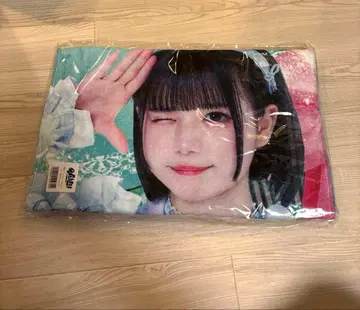 iLiFE! 무도관 가라폰 B상 아이스 빅 타월